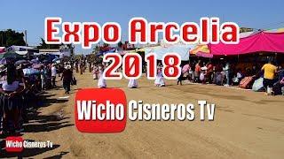 Desfile Expo Arcelia 2018 [upl. by Ydne]