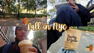 fall in nyc vlog 🍂🍁🎧  farmers market bookstores trader joes haul [upl. by Margarita]