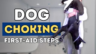 Dog Choking First Aid Steps [upl. by Ikkin]