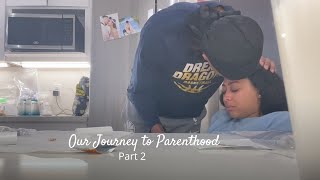 Our Journey to Parenthood amp Starting IVF  PART 2  Sydel CurryLee [upl. by Draw902]