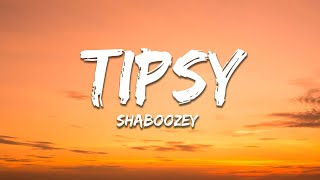 Shaboozey  A Bar Song Tipsy Lyrics [upl. by Orapma846]