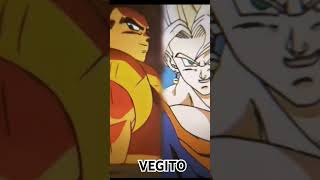 Vegito vs gogeta vegito gogeta ssjb ssj dbz dbs [upl. by Rubens741]