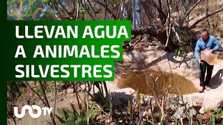 Activistas salvan animales silvestres les llevan agua al Cerro del Fortín [upl. by Sicular582]