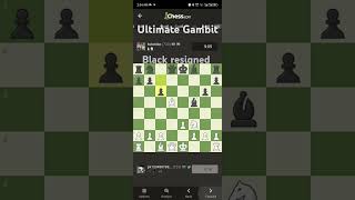 Chess trap Black reginedchess [upl. by Eanaj687]