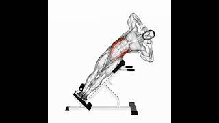 Abdominal lateral no banco inclinado motivation shoulder personaltrainer [upl. by Halet]