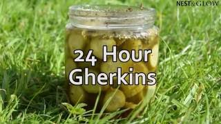 24 Hour Homemade Pickles Recipe  Easy Sweet Dill Pickles [upl. by Heise690]