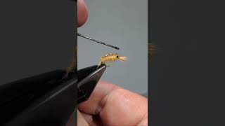 The Ultimate Guide to Tying Scud amp Grub Flies flytying shorts scuds [upl. by Noiemad]