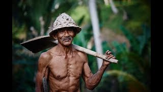 Jutaan Orang Menangis Saat Mendengarkan Lagu Untuk Ayah quotTerima Kasih Ayahquot [upl. by Raman]