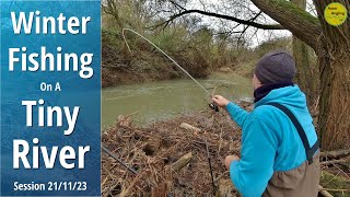 Small River Fishing With Bread amp Worms  Roving A Tiny Stretch In Winter  211123 Video 451 [upl. by Marcello]