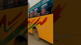 PatialBusghumarwinhimachalpradeshbusesofindiahrtcloverbs69272roadtriptrendingsankhyangamer [upl. by Narrad]