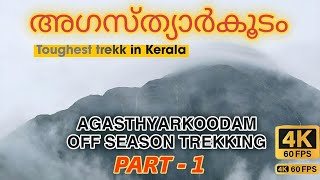 AGASTHYARKOODAM OFF SEASON TREKKING  THE MOST DETAILED TREKKING EXPERIENCE VIDEO  PART1pothigai [upl. by Ehud]