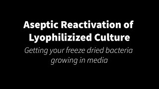 Aseptic Reactivation of Lyophilized Cultures [upl. by Anaila67]