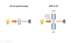 Capillary Electrophoresis Part 5 Detection methods in CE [upl. by Homer685]