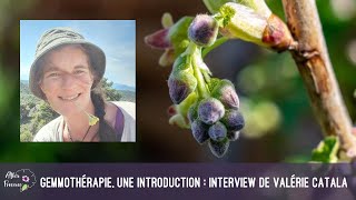 Gemmothérapie  interview de Valérie Catala [upl. by Medrek]