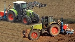 MAISLEGEN mit CLAAS ARION 640 und ARES 657 ATZ mit 6 REIHEN MONOSEM vom LU SCHÄFER [upl. by Anerac]