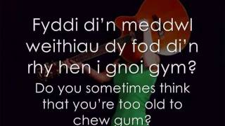 Cachu ar y Walia  Meinir Gwilym geiriau  lyrics [upl. by Pepita]