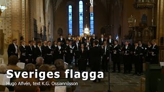 Sönerna  Sveriges flagga [upl. by Doralynne]