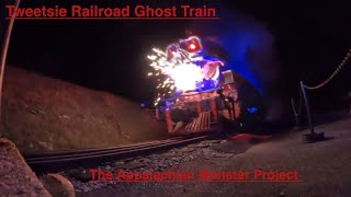 Is Tweetsie Railroads Ghost Train the Scariest Ride in 2024 [upl. by Dyer777]