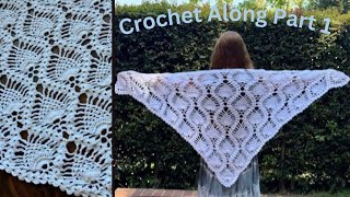 How to Crochet Shawl Pineapple Stitch Crochet Along  Crochet Shawl row by row  Part 1 [upl. by Hsevahb]