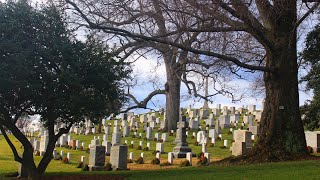 Arlington National Cemetery 10523 [upl. by Aehsel]