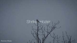 Shrike Hozier Lyrics [upl. by Titos563]