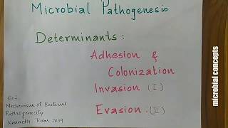 Pathogenic determinants Adhesion Colonization amp Invasion 1  Mechanisms of bacterial pathogenicity [upl. by Eeliak]