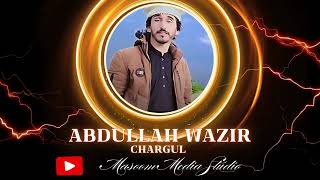 Pashto New Song Chargul Singer Abdullah Wazir 2024 [upl. by Longan]