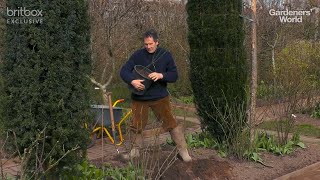 Tips for Planting a Bareroot Rose with Monty Don [upl. by Neill]