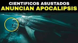 Las 20 Criaturas Acuáticas Más Enigmáticas y Desconocidas del Mundo [upl. by Vasily]