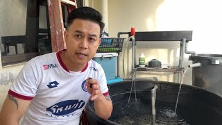 Ternak Ikan Keli Senang atau Susah  Ternak Ikan Dalam Tangki Polytank  TV636 [upl. by Niawd]