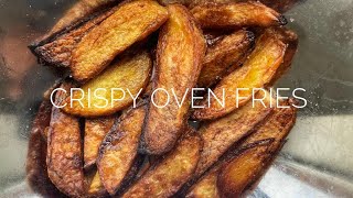 I Made Adam Raguseas Crispy Oven Fries… But Better  CRISPIER than Deepfried [upl. by Ogren]