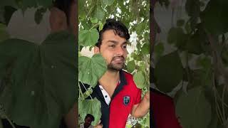 comedy funny comedyshorts ytshorts trending rockycomedy funnyvideo rockysharma07 status [upl. by Nidnal]