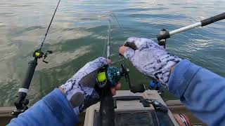 Robert and Ted catching Hybrid Stripers on Lake Waco 12 14 24 [upl. by Tecu221]