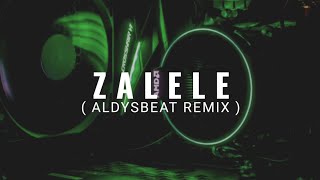 DJ ZALELE  AldySBeat Remix  BMR STYLE NWRMX viral tiktok 2024 [upl. by Yssim]