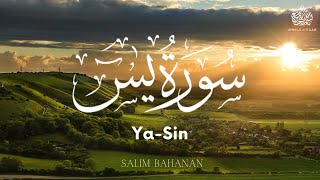 Surah YaSin  سورة يس  Recited By Salim Bahanan  Calming Recitation [upl. by Pomeroy405]