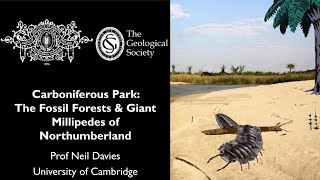 Carboniferous Park  Fossil Forests amp Giant Millipedes in the Northumberland Basin Prof Neil Davies [upl. by Colier908]