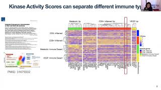 Pancancer Kinase Enrichment Analysis [upl. by Aihsenet]