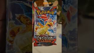 Obsidian Flames Pack Opening 17  Charizard Hunting shorts pokemon pokemoncards [upl. by Ofella999]