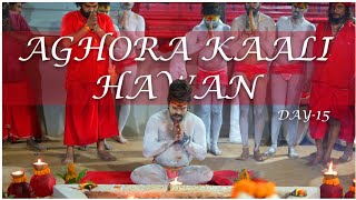 Day15 🔥 Aghorakaali Hawan 🔥 Kamakhya [upl. by Nabatse]