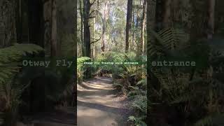 Otway Fly Treetop walk entrance  Australia [upl. by Langsdon]