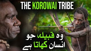 The Korowai Tribe Fascinating Facts and Stories of an Isolated People [upl. by Hamas746]