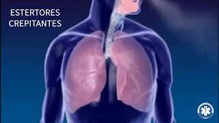 Semiologia  Ausculta Pulmonar ESTERTORES CREPITANTES [upl. by Aihsiym551]