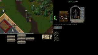 Ultima Online  Royal Uo  The Revengers 2 [upl. by Kenwee]