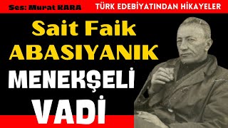 Sait Faik Abasıyanık quotMenekşeli Vadiquot Türk Edebiyatıbdan Sesli Kitaplar [upl. by Ettenowtna]