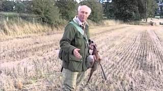 Cocker Spaniel Training Master Class P4 [upl. by Laverna622]