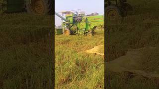 Hind combine dhan cattai trending shortsfeed viralshort viralvideo videos shorts [upl. by Erasmus]