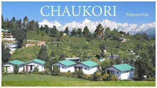 Chaukori चौकोड़ी Travel Guide Uttarakhands Hidden Paradise  A Cinematic Journey [upl. by Joung531]