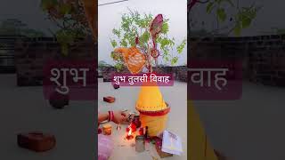 Maine Tulsi ke gamle per om love song dance bhojpuri popularsong tulsi tulsivivah [upl. by Mahmoud902]