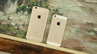 iPhone 6S vs iPhone SE Full Comparison [upl. by Zebulon963]