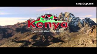 Kenya Diaspora Homecoming Conference 22 Dec 2015  Part 4 [upl. by Ecirtap]